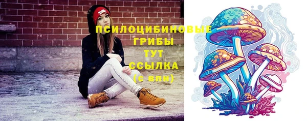 СК Абаза
