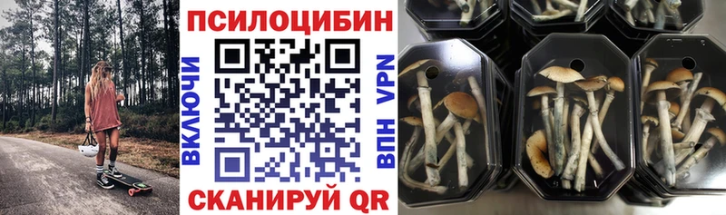 Псилоцибиновые грибы Cubensis  Щучье 